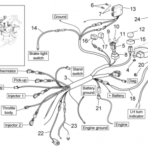 Rear electrical system