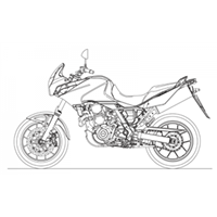 Pegaso Strada-Trail 650 4T IE (EMEA) 2005-2009